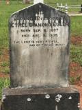 image of grave number 860169